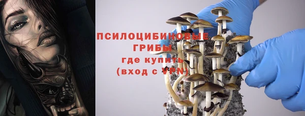 прущая мука Алзамай