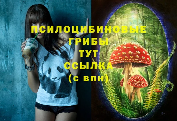 прущая мука Алзамай