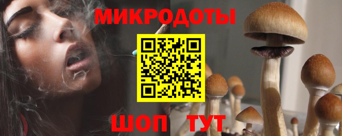 Галлюциногенные грибы Magic Shrooms  Вход с VPN  купить наркотики цена  Брянск  Псилоцибиновые грибы MAGIC MUSHROOMS 