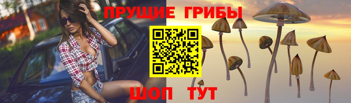 Амфетамин Брянск