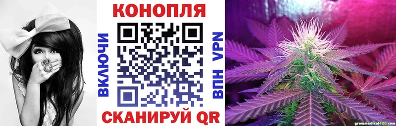 Бошки марихуана SATIVA & INDICA  Брянск 